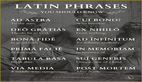 A Profile Of A Latin Beauty